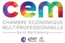 CEM de Saint-Barthélemy : une nouvelle session EXCEL
