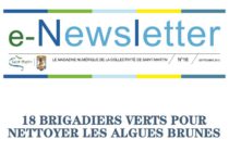 E-Newsletter n°16 – 18 BRIGADIERS VERTS POUR NETTOYER LES ALGUES BRUNES
