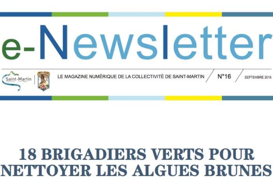 E-Newsletter n°16 – 18 BRIGADIERS VERTS POUR NETTOYER LES ALGUES BRUNES