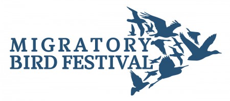 Le 2015 Migratory Bird Festival est ce Samedi de 9h-13h à l'University of St. Martin sur le Great Salt Pond.