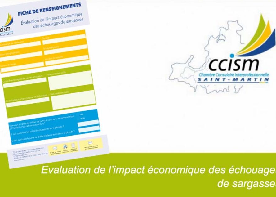 CCI Saint-Martin : vers une évaluation de l’impact économique des échouages de sargasses
