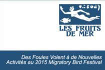 Des Foules Volent à de Nouvelles Activités au 2015 Migratory Bird Festival