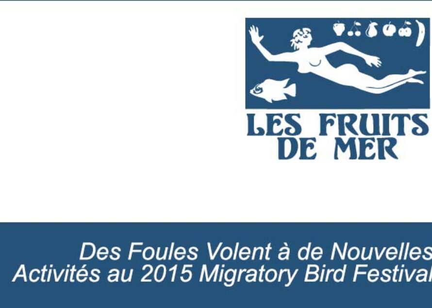 Des Foules Volent à de Nouvelles Activités au 2015 Migratory Bird Festival