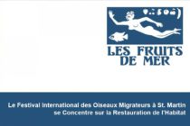 Le Festival International des Oiseaux Migrateurs à St. Martin se Concentre sur la Restauration de l’Habitat