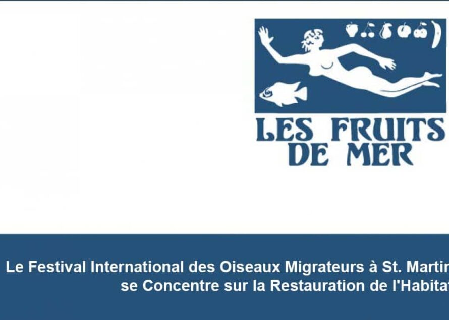 Le Festival International des Oiseaux Migrateurs à St. Martin se Concentre sur la Restauration de l’Habitat