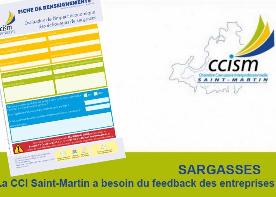 SARGASSES – La CCI Saint-Martin a besoin du feedback des entreprises !