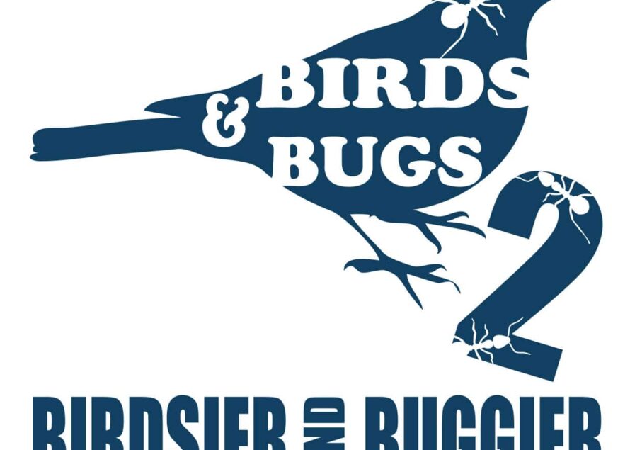 Divertissement Gratuit pour Tous les Âges à Birds & Bugs ce Dimanche!