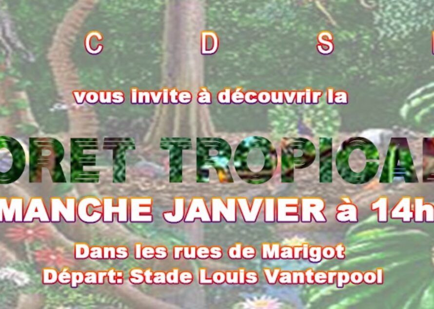 La parade des enfants aura lieu ce week end !