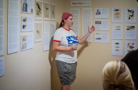 Jenn Yerkes, conservatrice de l'Amuseum Naturalis, discute l'exposition spéciale actuelle avec les visiteurs du musée.