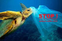 Saint-Martin : Les sacs plastique sont interdit !