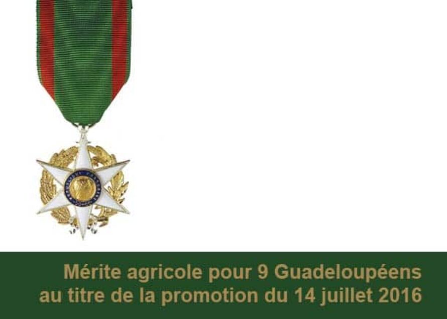 GUADELOUPE : Distinction – Le Mérite agricole pour neuf guadeloupéens
